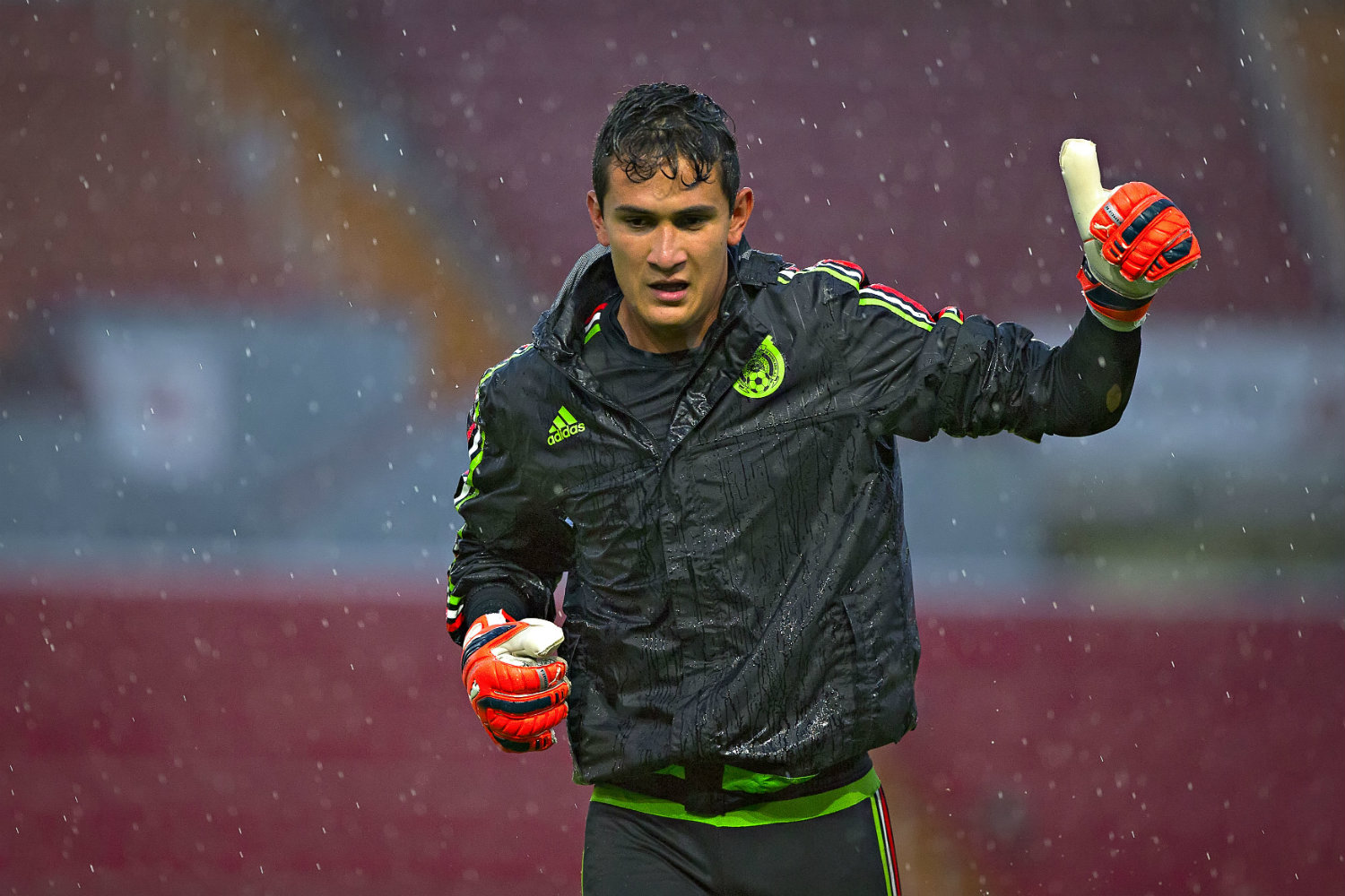 Raúl Gudiño