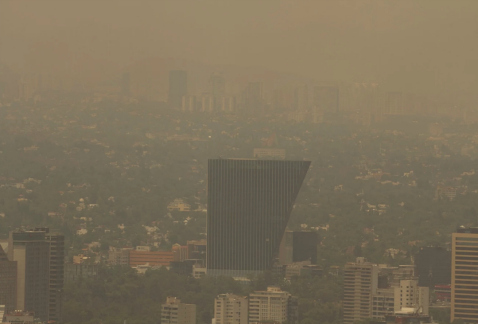 La calidad del aire fue "muy mala" esta tarde en la Ciudad de México, donde la contaminación llegó a 162 puntos de ozono, en Coyoacán.