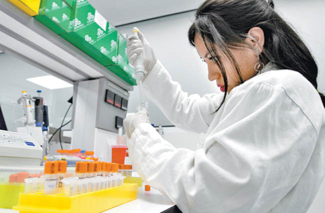 Especialista realiza estudios de laboratorio. 