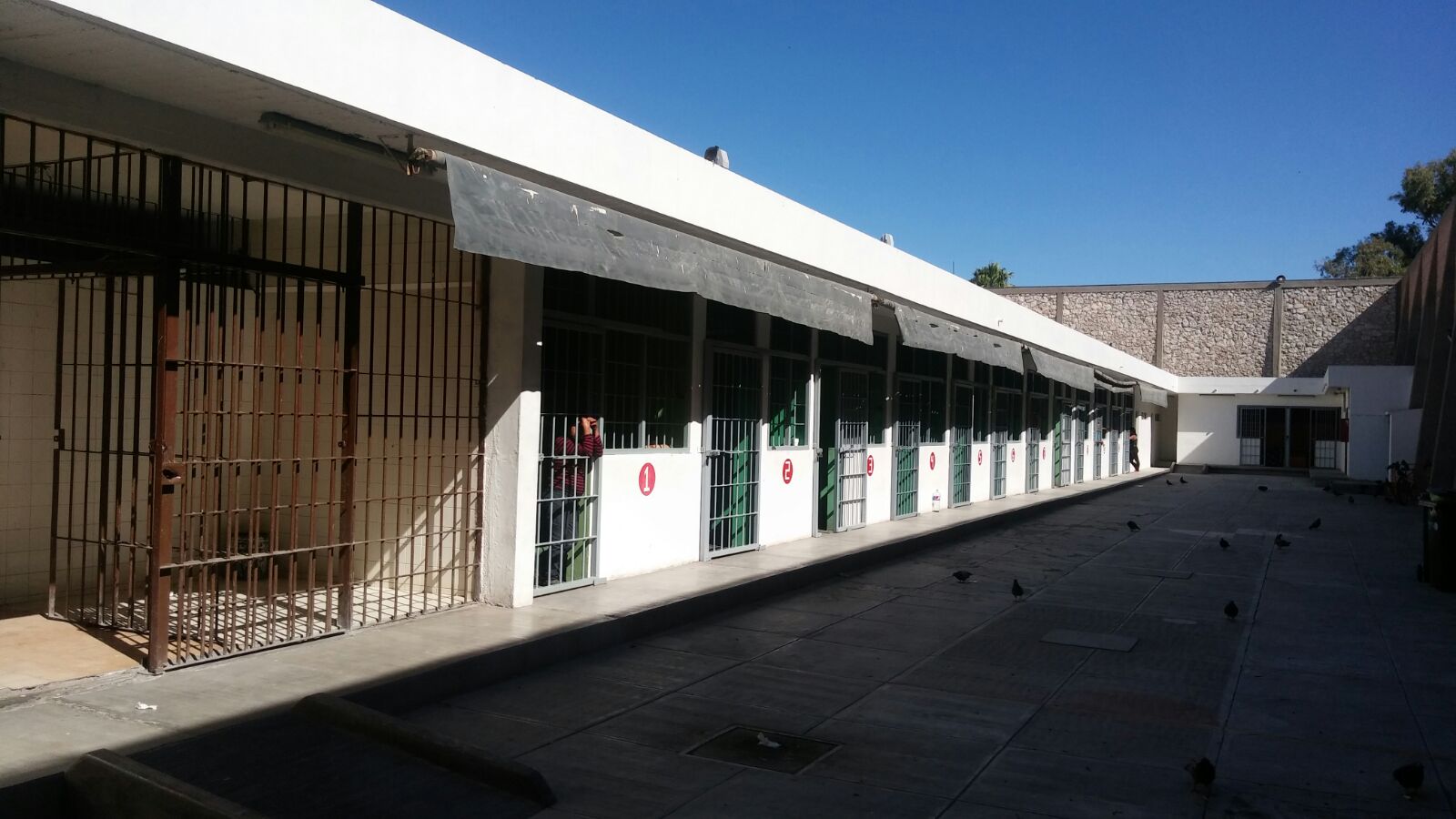 El hombre de 43 años, fue encontrado sin vida en celdas de la Colón.