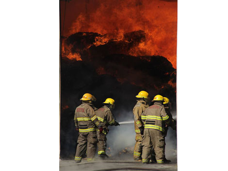 En caso de ver un incendio forestal, reportarlo a: 01-800-462-363-46.