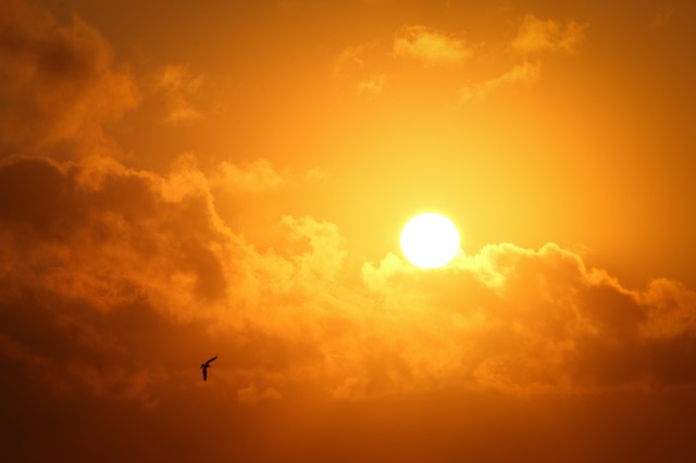 Según un especialista, sólo se aprovecha 5% de la radiación solar que México recibe.