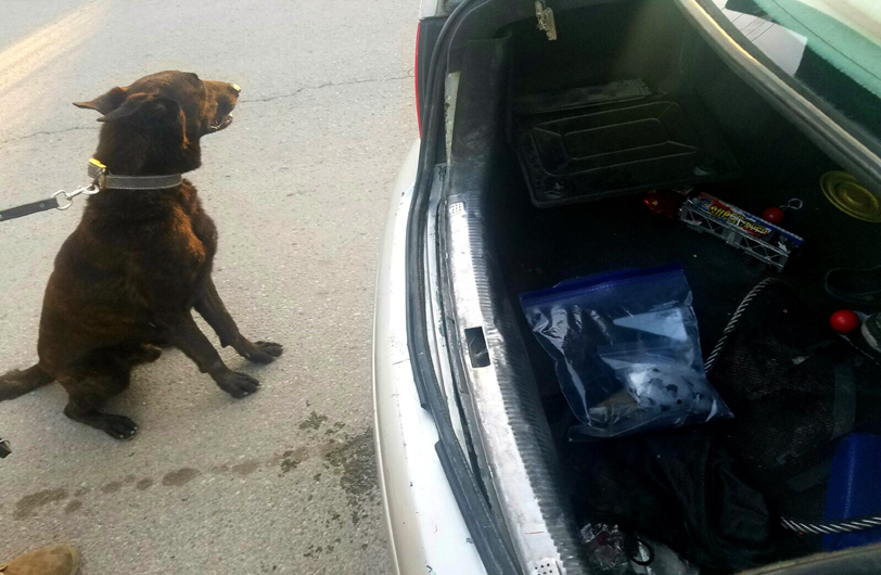 El agente canino encontró la droga.