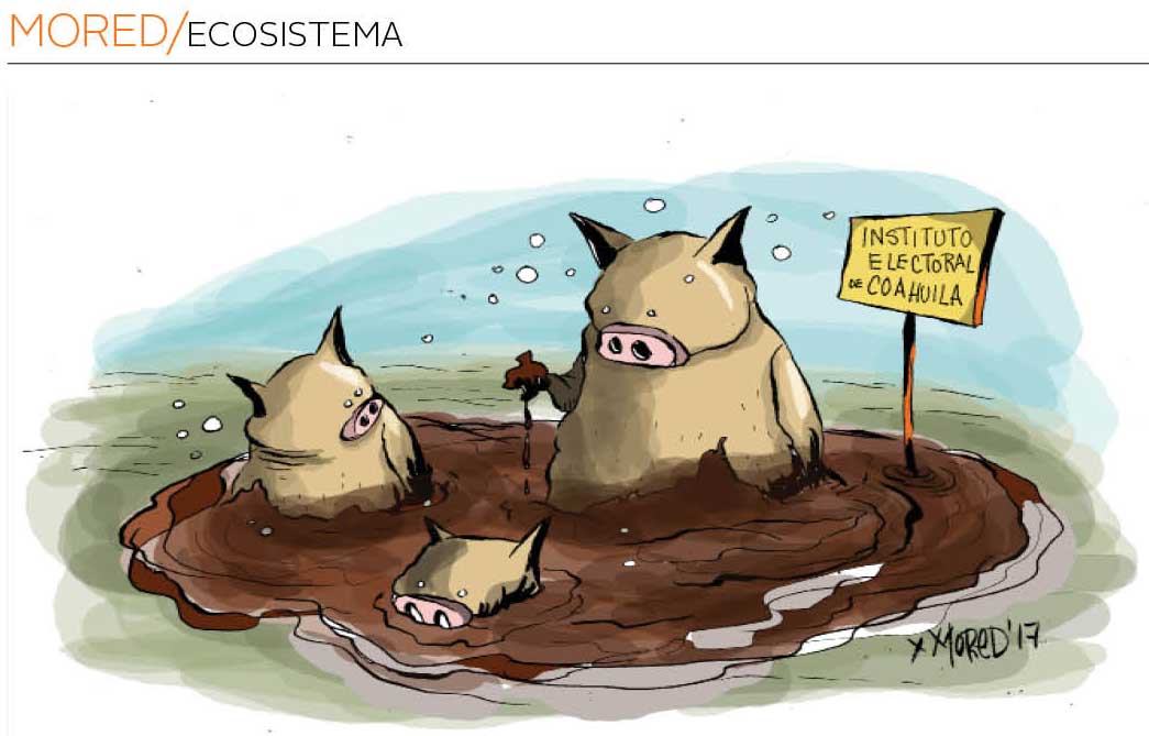Ecosistema
