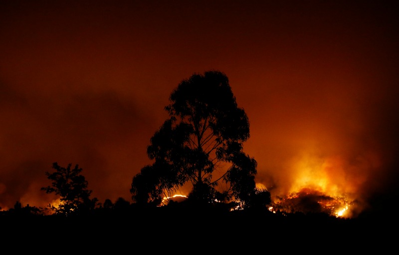 Se cree que un rayo provocó el fuego en la zona de Pedrogao Grande.