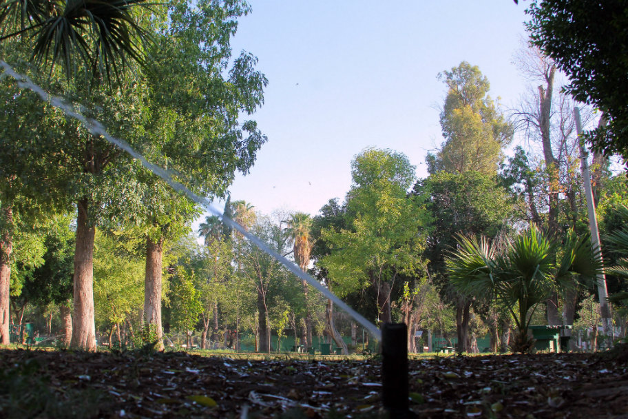Regularizan riego en el Bosque Venustiano Carranza de Torreón. 