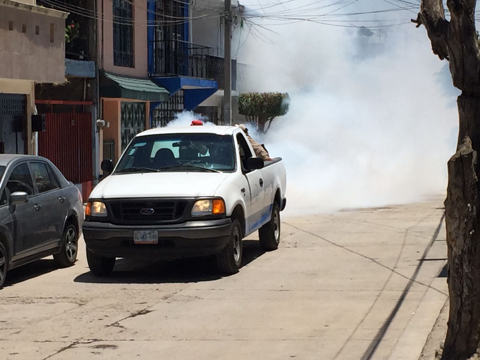 Implementan nebulizaciones, para evitar la propagación del mosco que causa el dengue. 