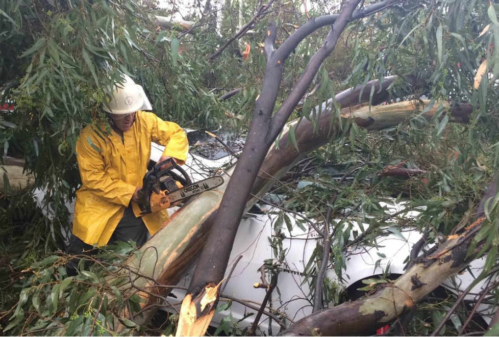 Un árbol cayó sobre varios vehículos en el cruce de Urdaneta y Colón.