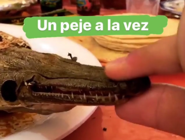 El video fue subido a su Instagram.