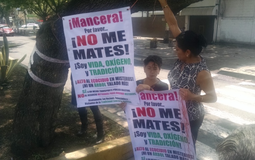 Los vecinos colocaron mantas en loa árboles, con mensajes en los que solicitan a las autoridades no talarlos.