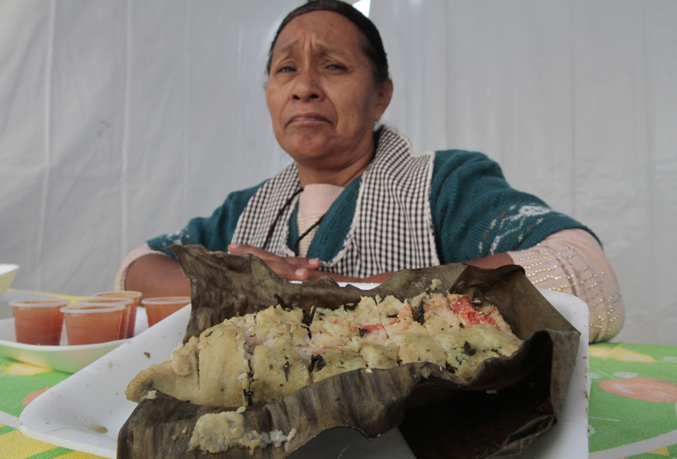 Gastronomía mexiquense.