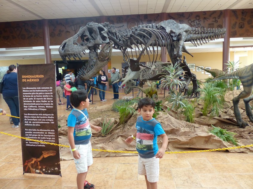 En Saltillo, el Museo del Desierto invita a sus cursos de verano.