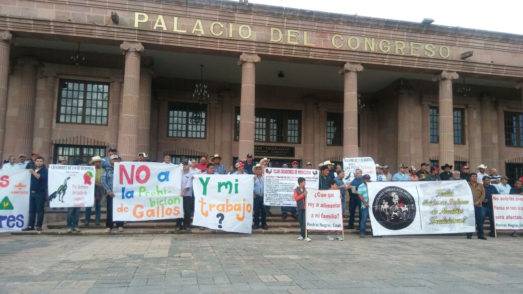 Manifestación de criadores de gallos en Coahuila.