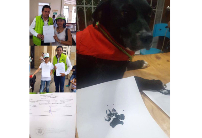 Negro "tiene una fractura de cadera y prácticamente está condenado a morir" si no recibe atención médica veterinaria.