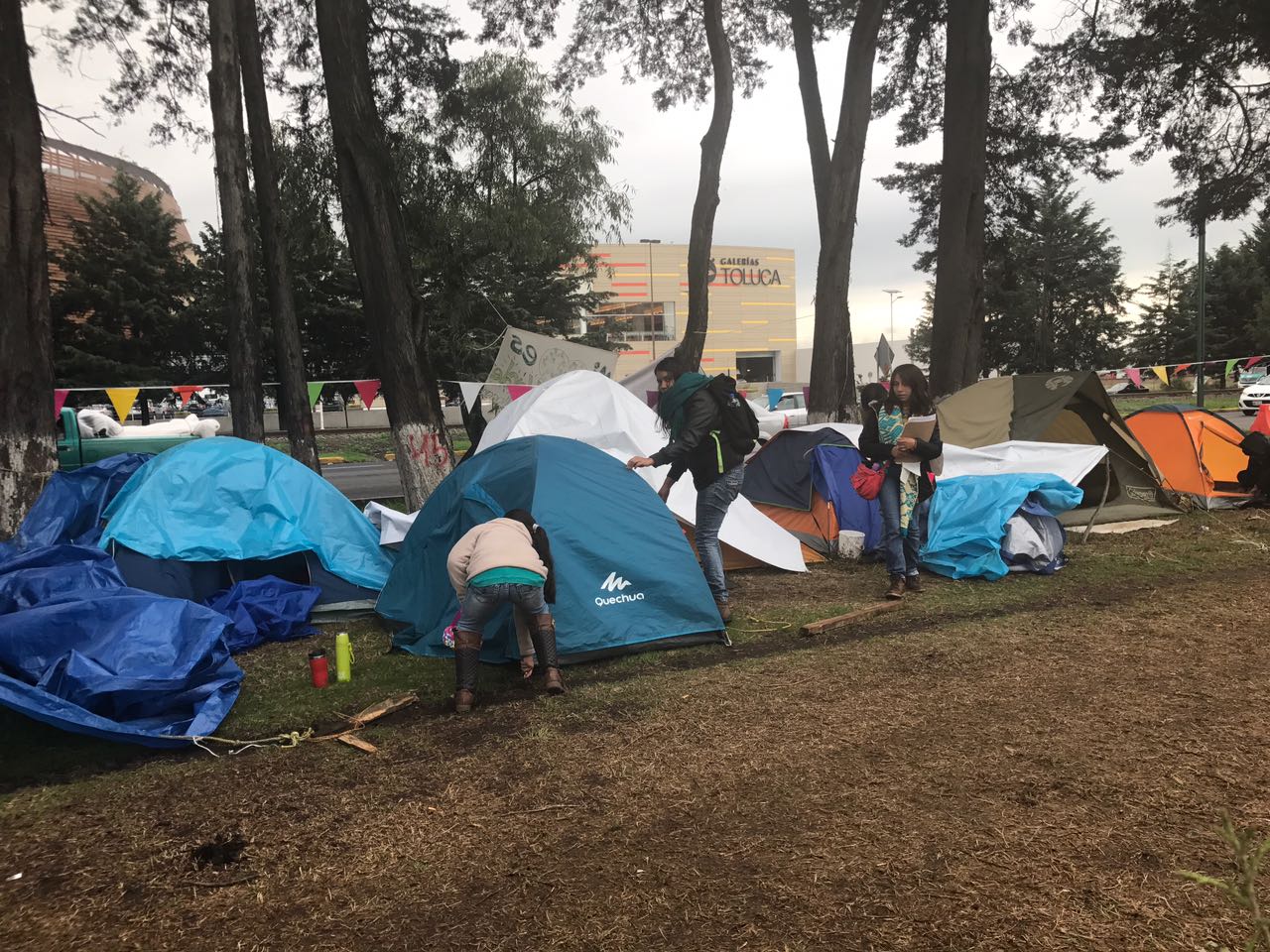Protestan por el derribo de más de 200 árboles en Paseo Tollocan.