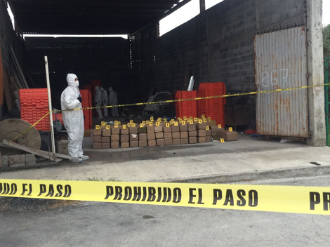Alrededor de una tonelada de droga fue decomisada en el cateo. 