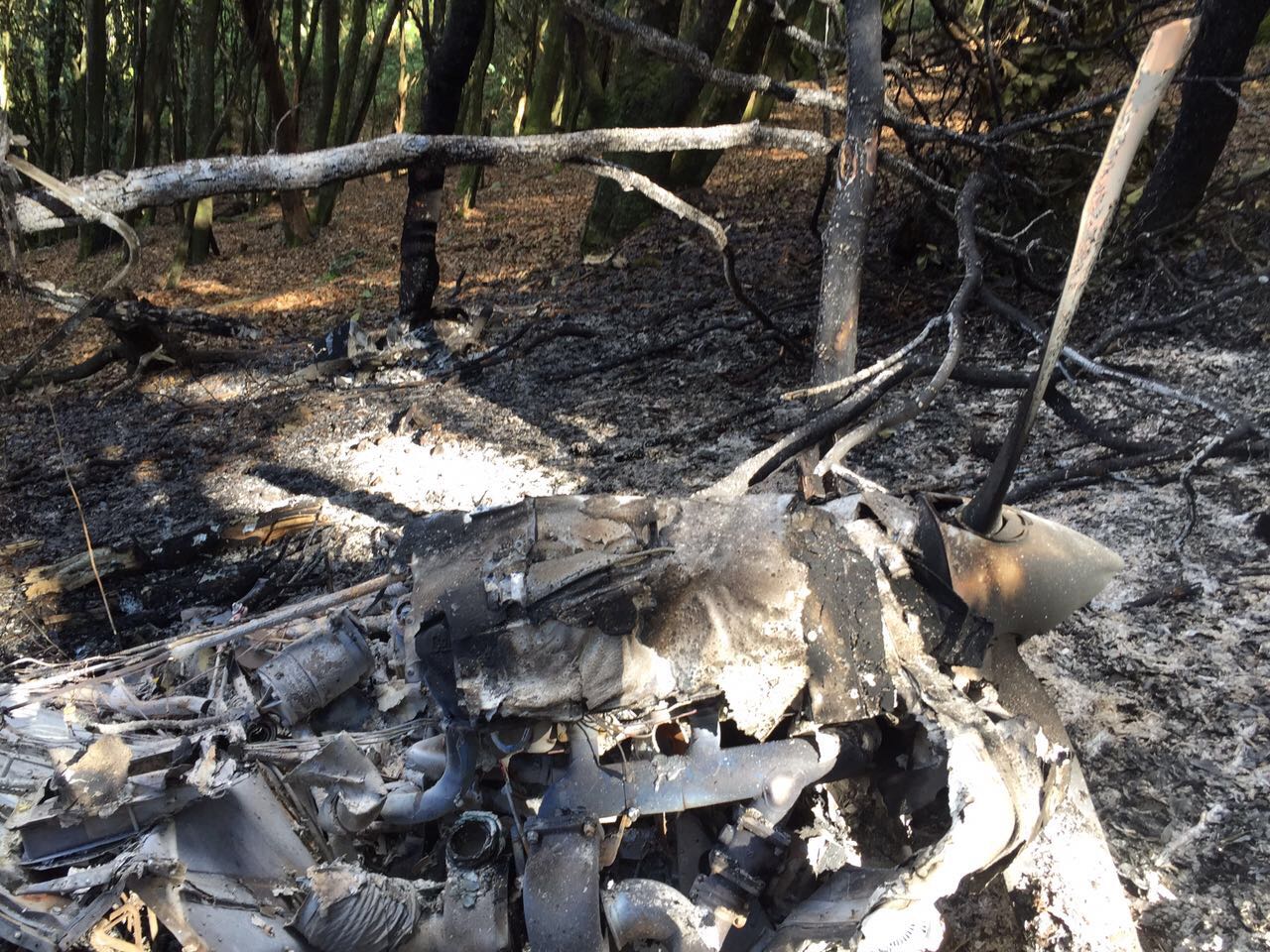 La avioneta con características de monomotor, sobrevolaba por la parte alta del Cerro Viejo