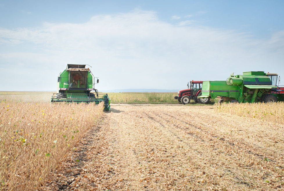 Adiós maíz. En 2017, según analistas, la soya podría desbancar al maíz como el cultivo que más se cocecha en EU.
