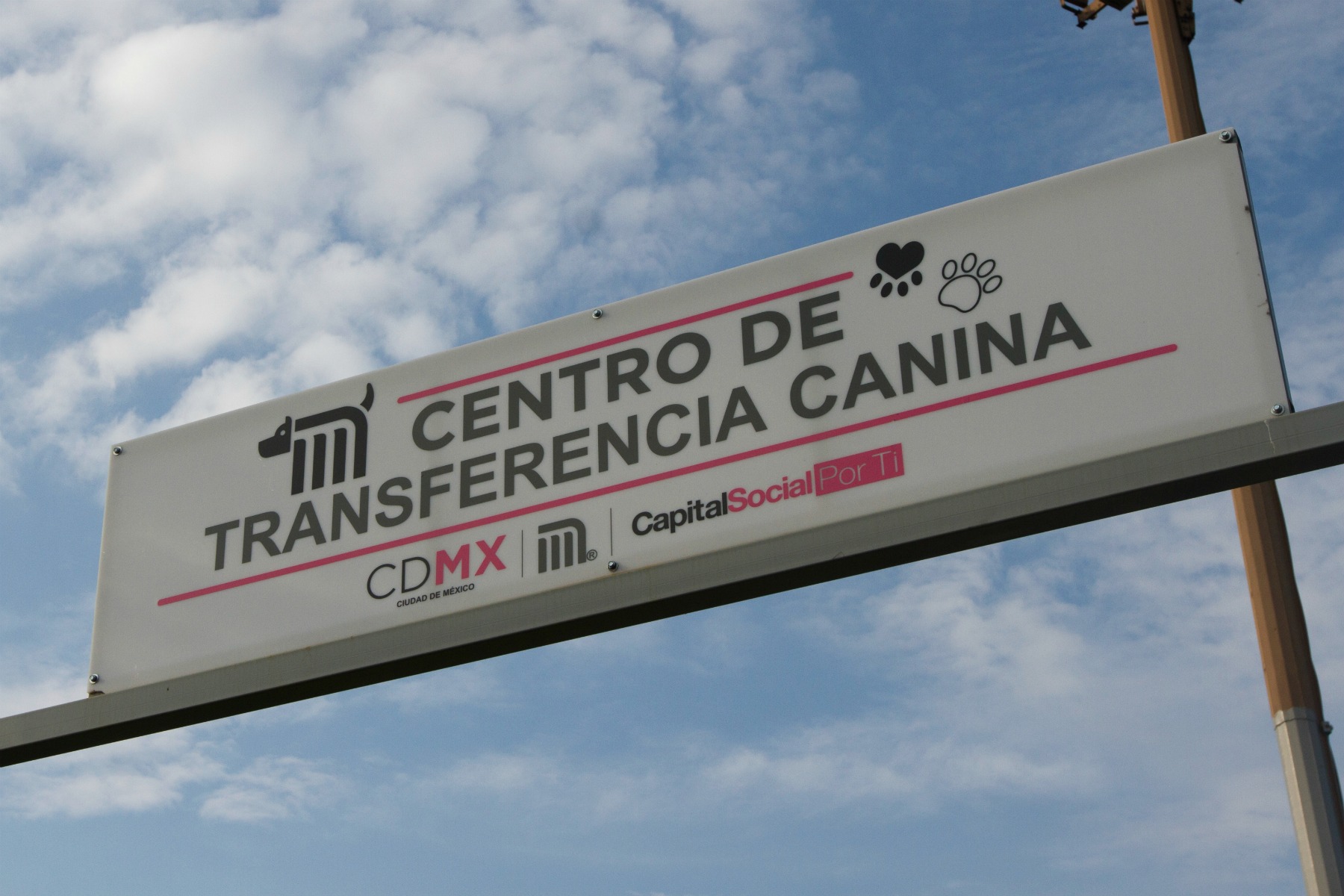 Este Centro de Transferencia Canina se encuentra en las instalaciones de la estación Rosario, y tiene capacidad para resguardar a 100 perros.