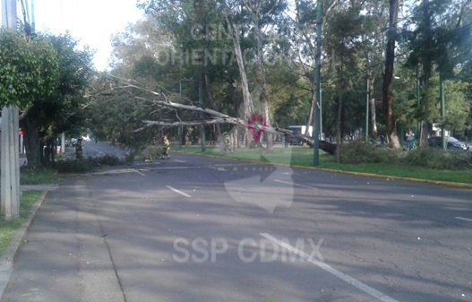 El cierre a la circulación está entre la Calle 45 hasta la calle Planetario.