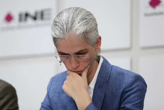 Pamela San Martín, Consejera INE.