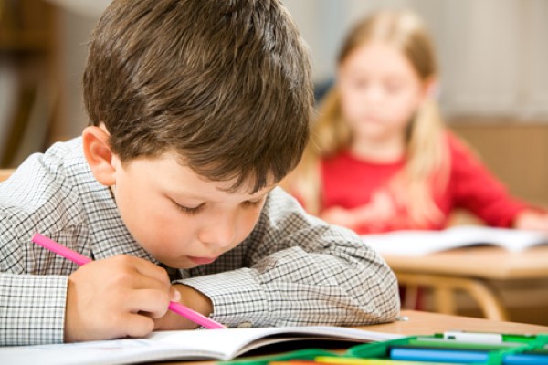 Este apoyo se implementa en todos los colegios públicos de nivel básico adscritos tanto al sistema estatal como al federalizado en todo el territorio 