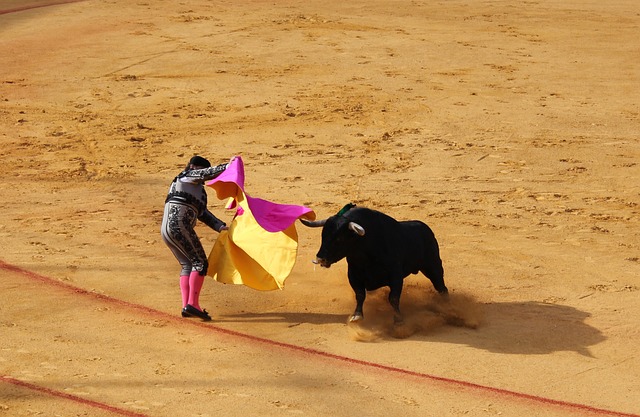 En las Islas Baleares, ya está prohibido maltratar o matar al toro.