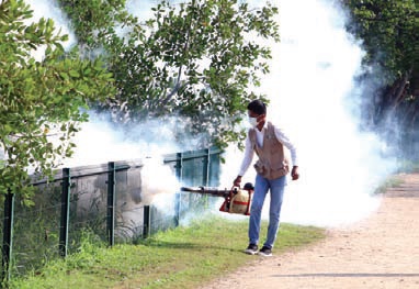 Fumigación