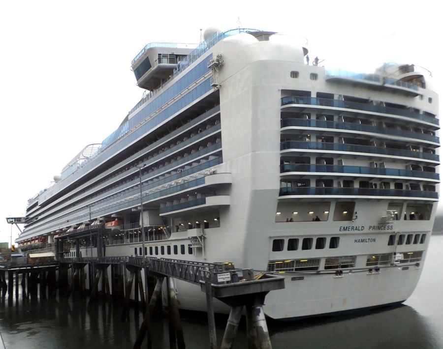 El homicidio tuvo lugar a bordo del barco Princess Cruises.
