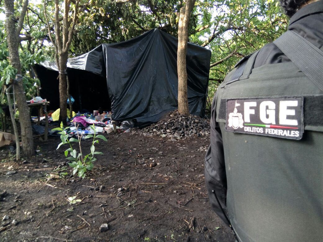 Localizan otro campamento criminal en Tala, Jalisco