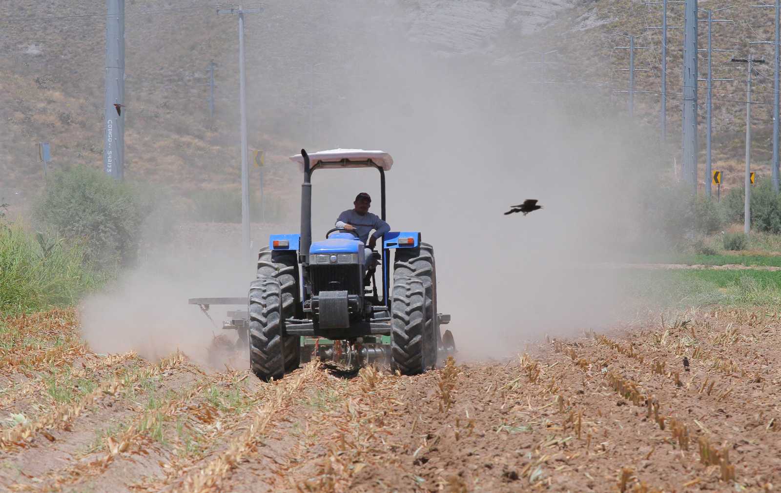 En La Laguna de Coahuila, el Sector agropecuario en se vuelve incosteable.