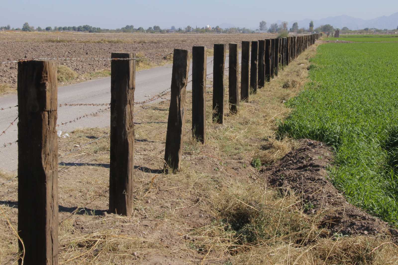 En Lerdo, Sagarpa retrasa entrega de apoyos a emprendedoras del campo.