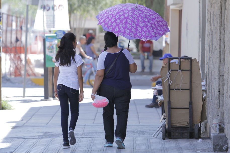 La Red de Mujeres de La Laguna solicitó en la Ciudad de México la alerta de género para Coahuila. 