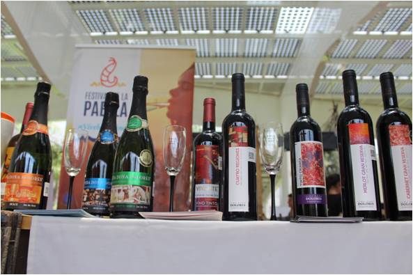 Crece la producción de vinos en Guanajuato.