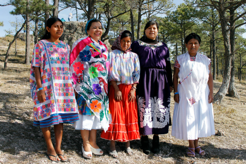 En México, existen 364 lenguas indígenas