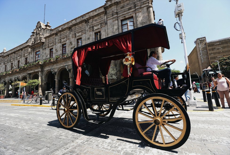 Se pretende que las primeras diez calandrias lleguen a la ciudad en un periodo de aproximadamente cuatro meses. 
