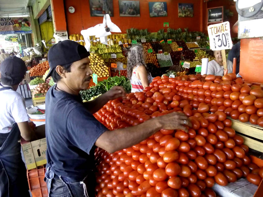 El tomate huaje es otro de los productos que ha presentado modificaciones importantes.