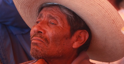 No existe relevo generacional. 