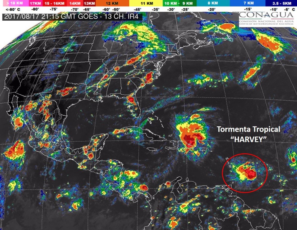 Se prevé que la próxima semana la tormenta se fortalezca.