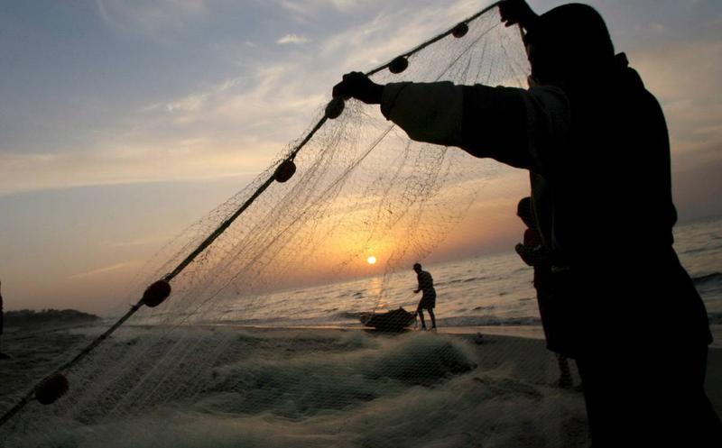 Pesca ilegal 