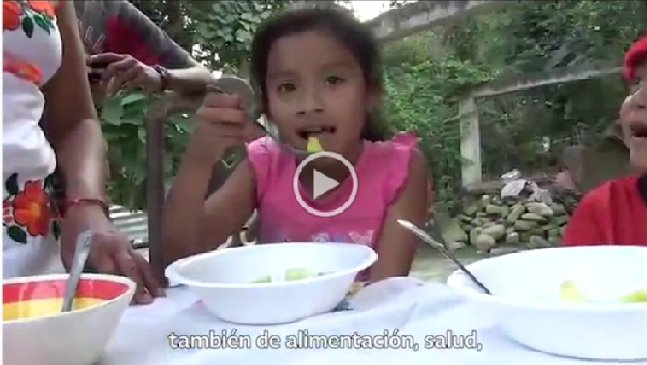 La OSC compartió un vídeo en rede sociales para denunciar las intenciones de la dependencia federal.