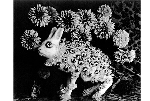 En la reunión se exhibe la muestra ‘Naturaleza muerta’, de Michiko Kon. 