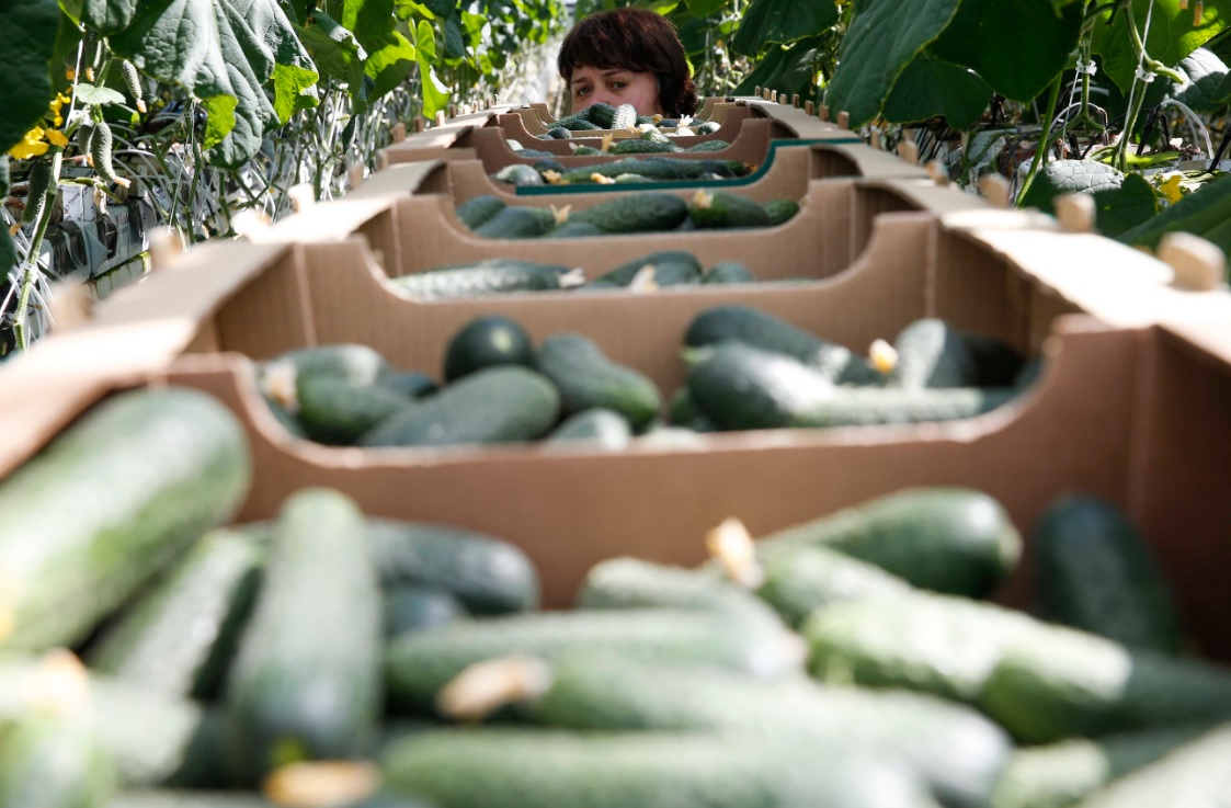 México busca diversificar sus mercados.