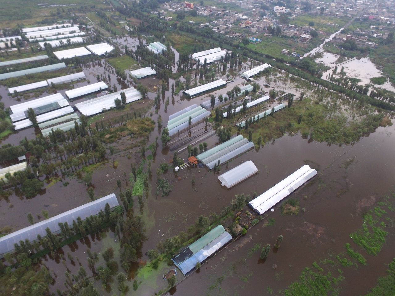 Varias partes de Xochimilco quedaron bajo el agua.