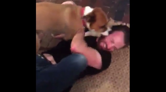 El adorable reencuentro de Chris Evans con su perro.