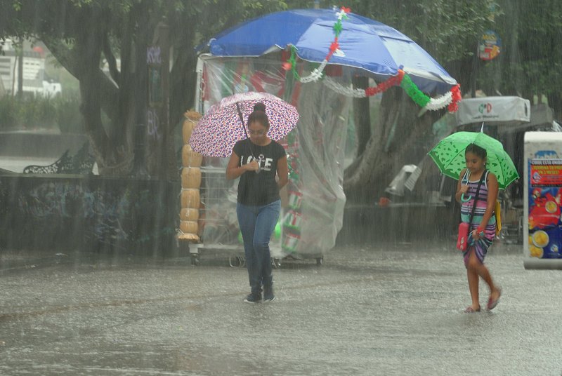 La dependencia recomienda retirar la basura de las coladeras y conducir con una distancia mínima de tres metros respecto al vehículo de enfrente. 