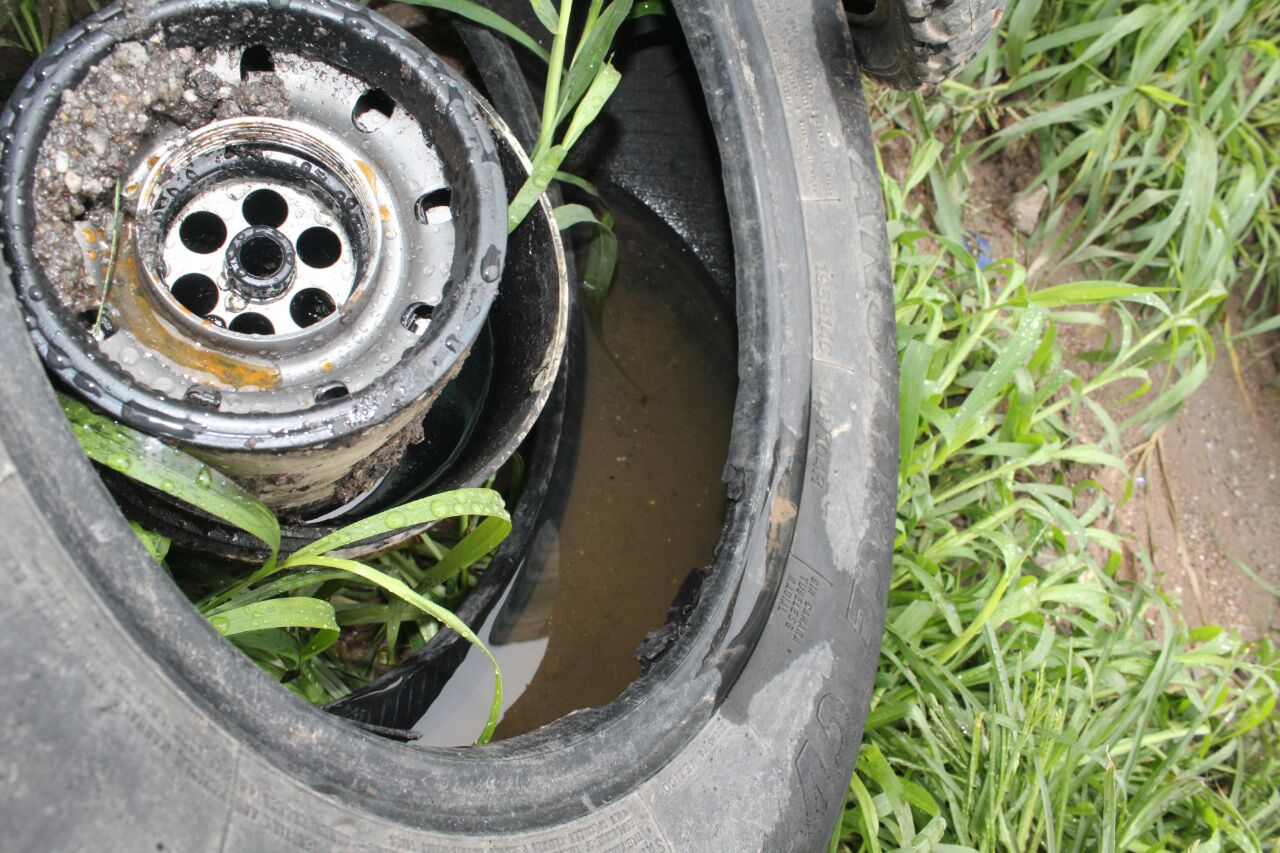 Dengue propagado por los mosquitos.