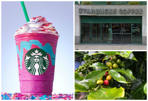 Desde la llegada de Starbuck a México, han inaugurado 610 tiendas en todo el país