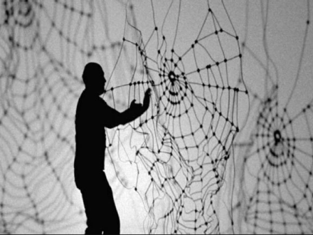 'Discarded Spider'