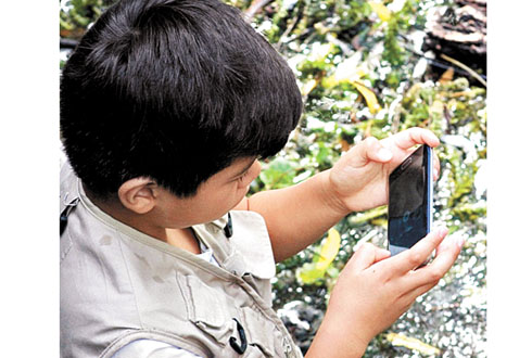 Los teléfonos también tienen la aplicación Naturalista, de la Conabio. 